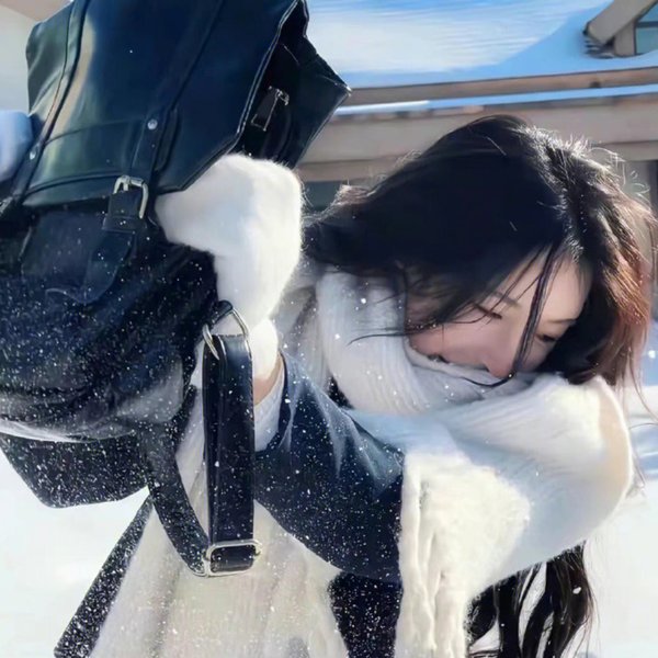 来自日本的机器狗